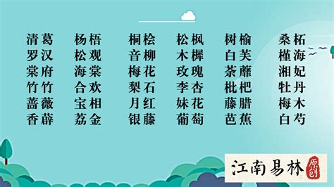 子的意思名字|子字取名的含义是什么